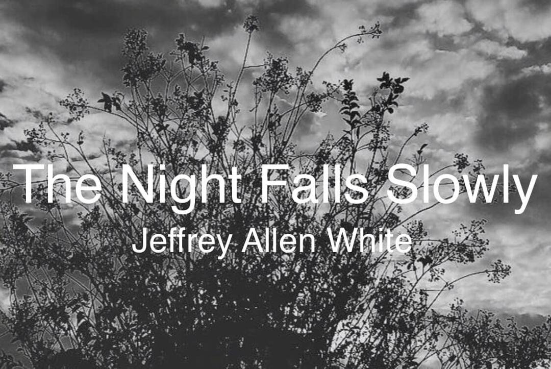 My SECOND novel The Night Falls Slowly is available on Amazon.com for only $22 on sale! Just type in the book title or my name and it’ll pop up. It can also be ordered in all bookstores too but at a the original cover price