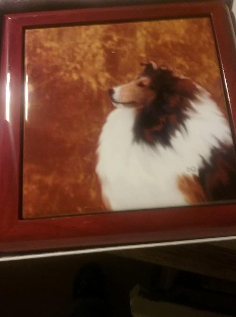My box from the raffle came today. It's beautifully made by Dana Lee Quinney. Just love it!