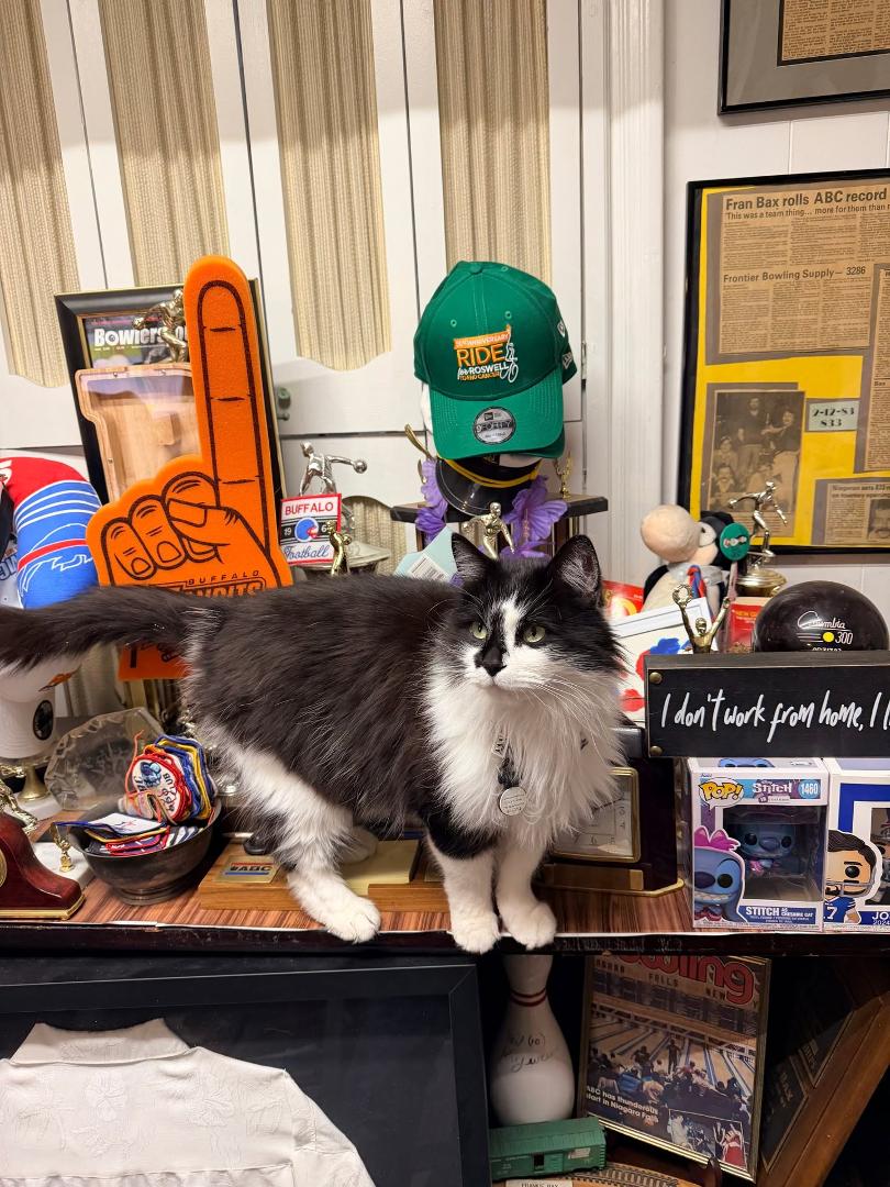 Thursday, 6:16 p.m.
Good evening to nobody, because I, KitKat, have completed my ascent and am now part of the permanent collection.
Fran has a trophy case.
Correction: Fran has a monument.
Glass. Wood. Spotlit like a m
