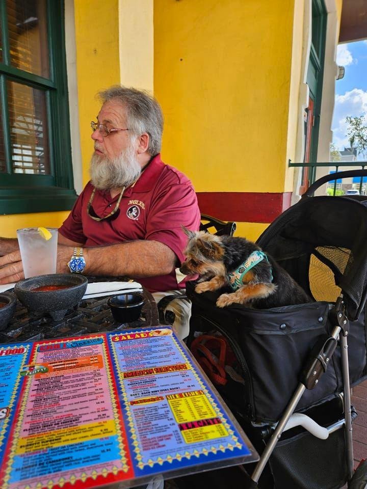 Ginger's 1st visit to El Toreo