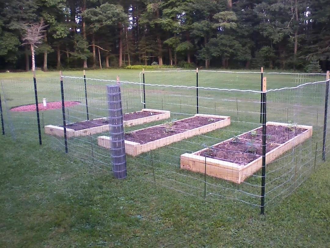 The temporary fence is up to keep out unwanted critters. Next step is electrifying it!