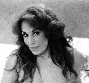 Ahma cicra 1990