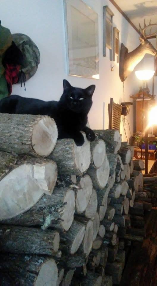 Mark Starkey's album, Timeline Photos