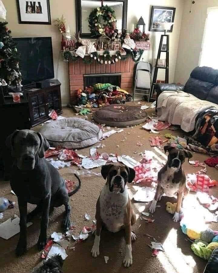 Ok who did this