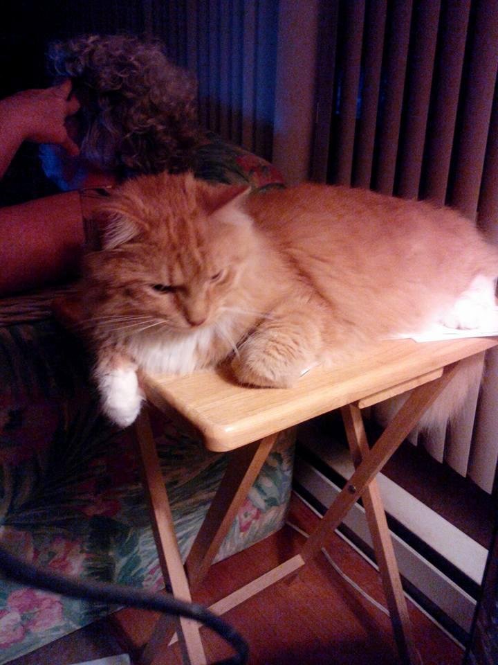 Crusher taking up the whole TV tray table.
