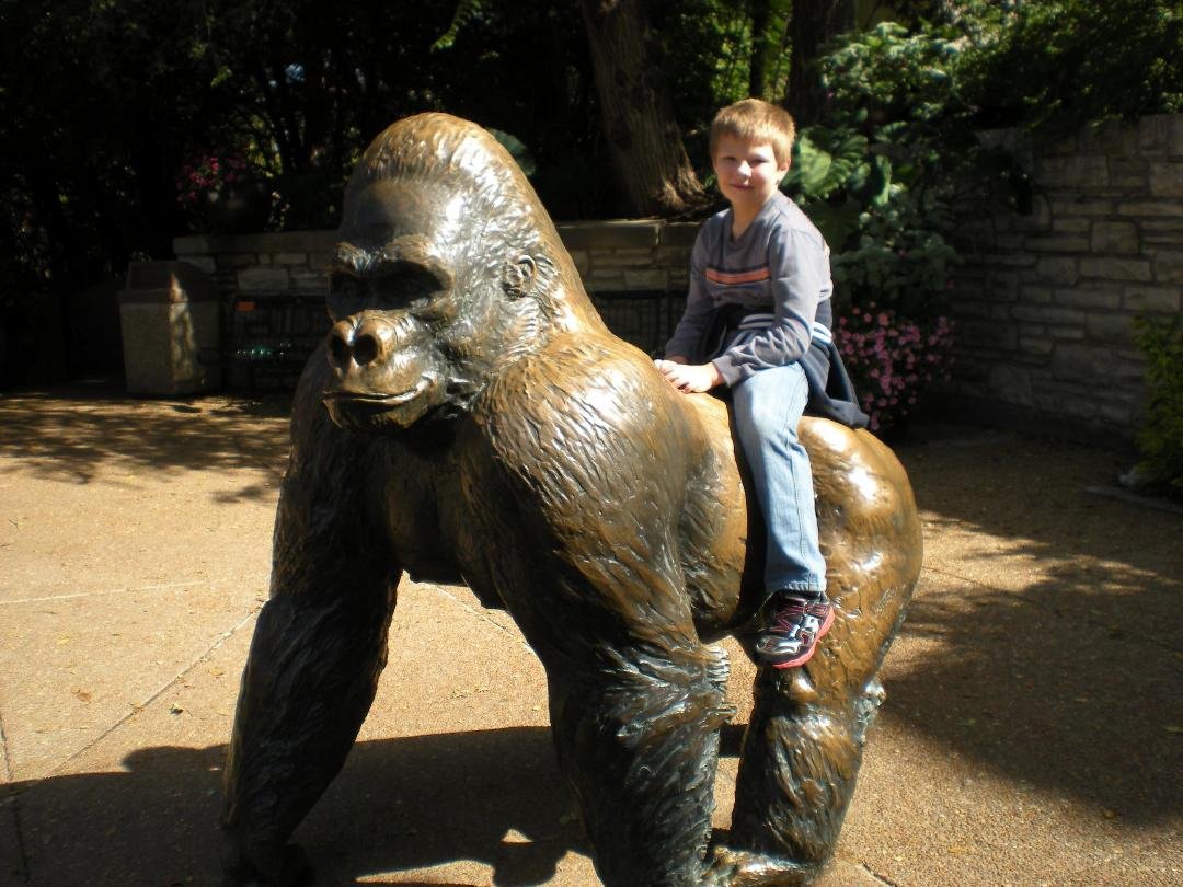 Which ones the monkey ??
