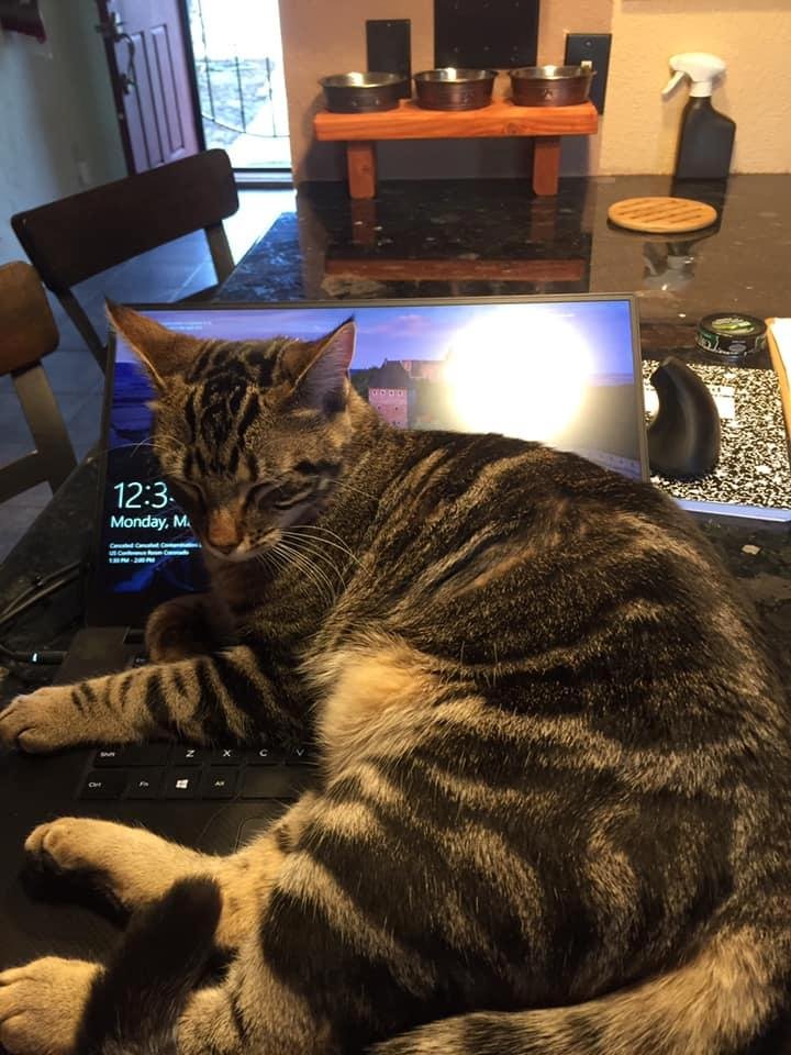 I thought working from home would be more productive.