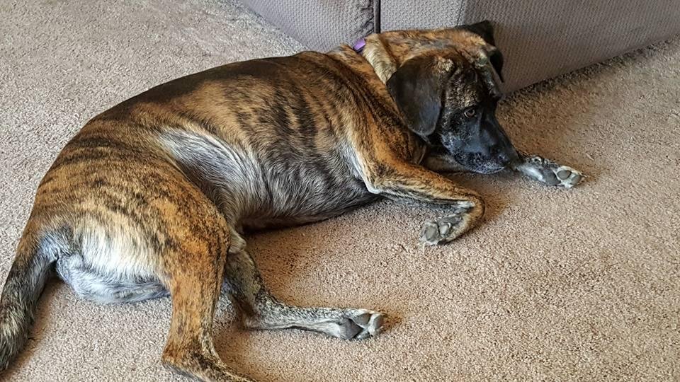 What a bum!