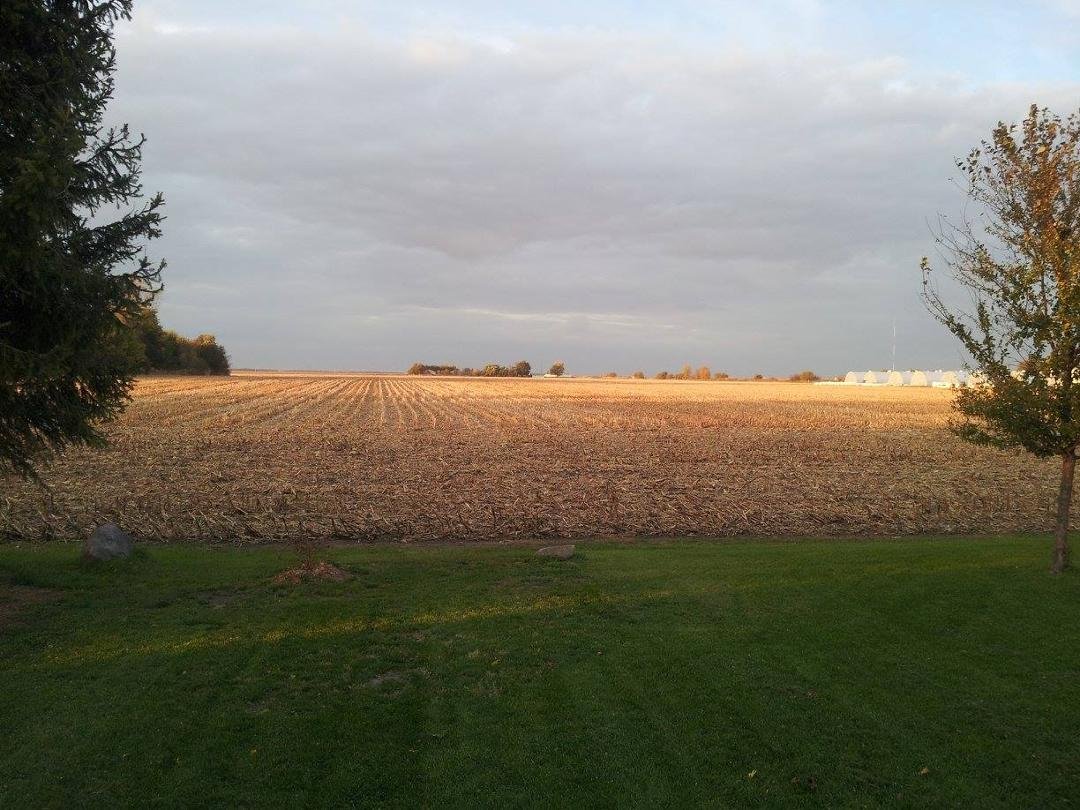 My back yard lol