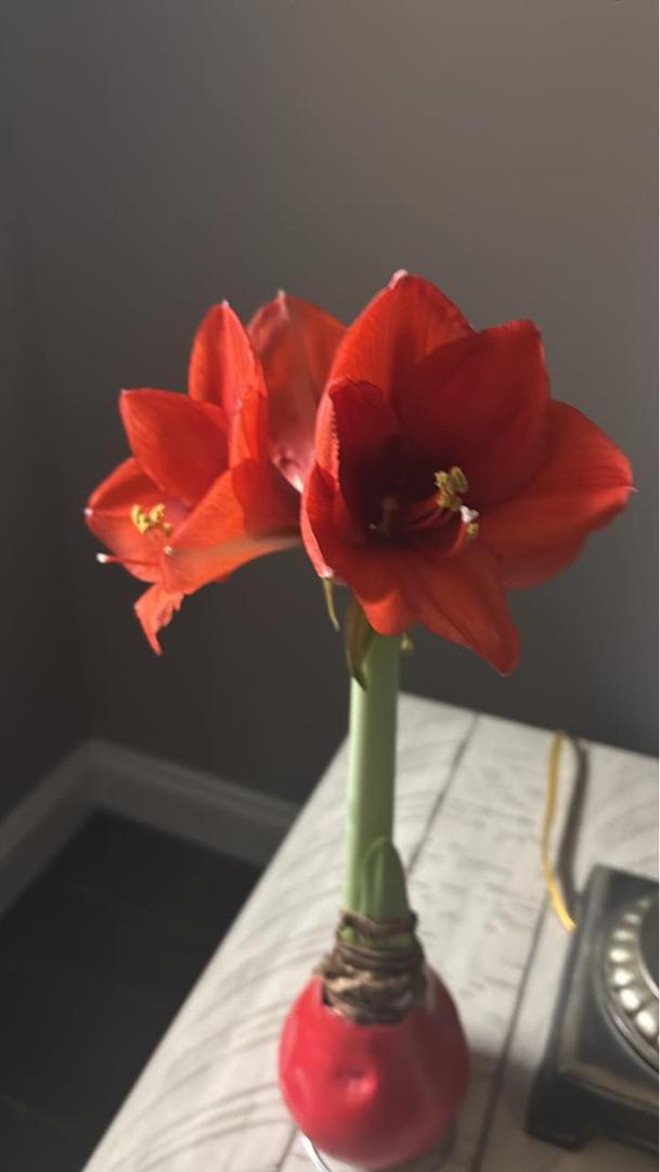 It came back for round two. Amazing.🤩