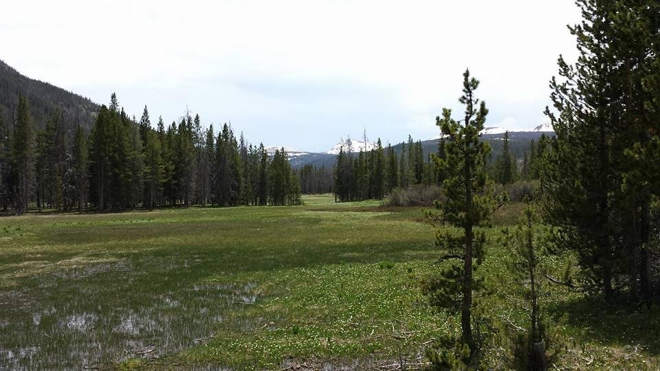 Nice meadow on other side of mountains