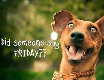 Well that it is Friday almost noon time for the noon meeting at A and B the coffee's done and we have some cookies