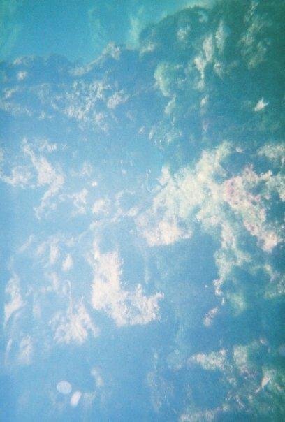 Susan Holloter's album, Vacation 08/2008