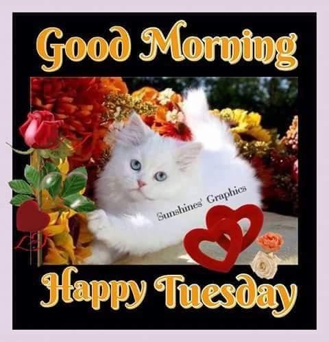 GOD'S BLESSINGS!!!