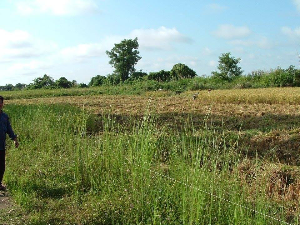 Randy Higley's album, Thailand Mission