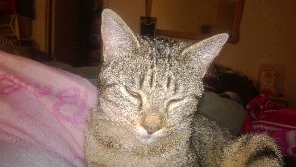 Yes, l am Evil! Any questions?