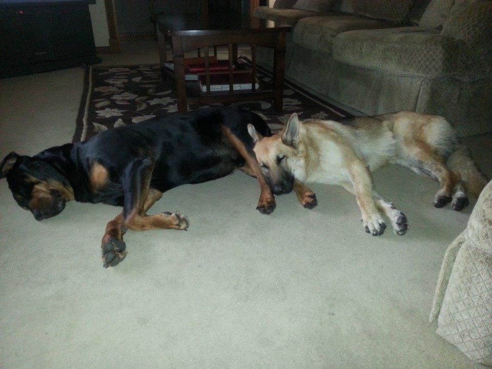 Brother and sister