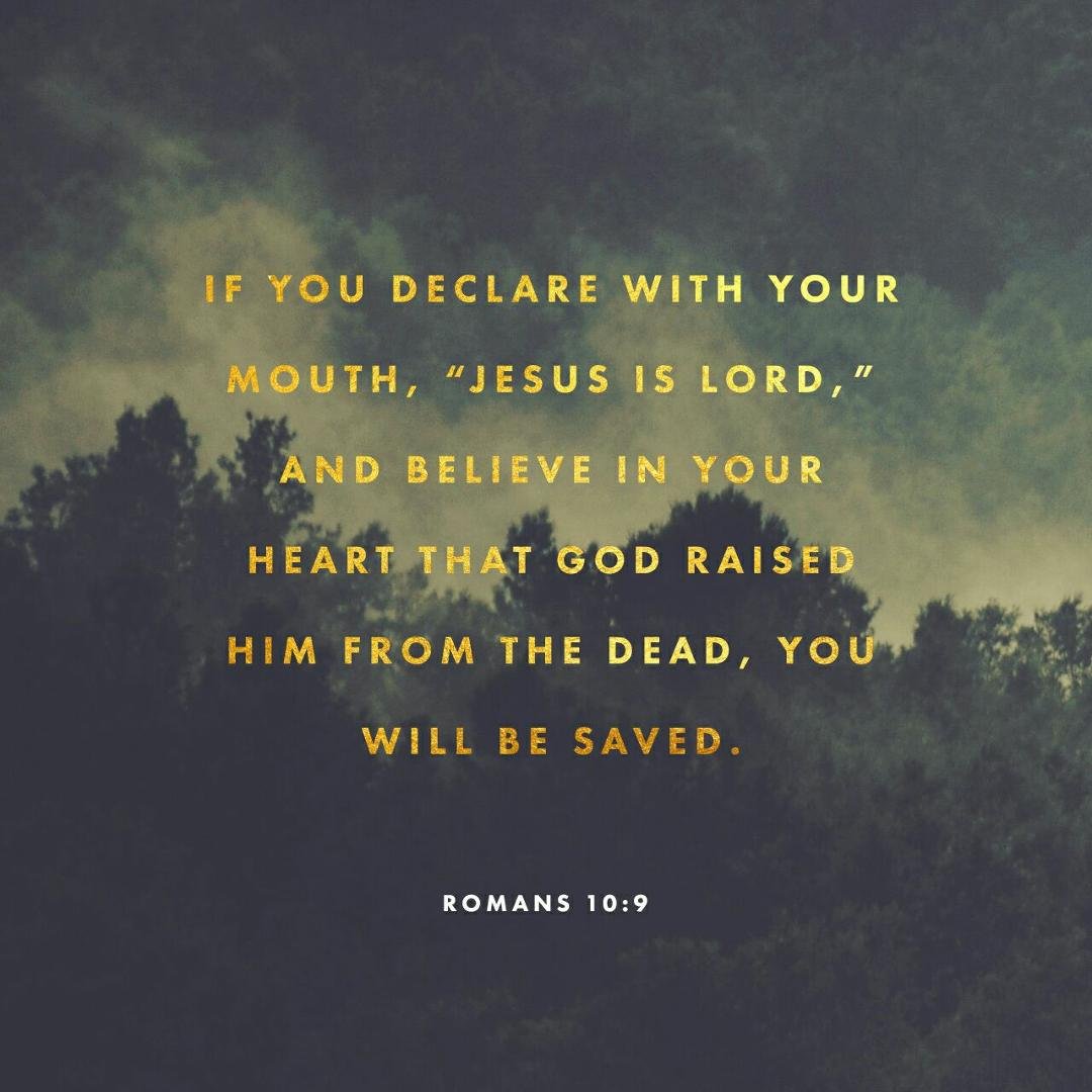 Bobby Board's album, Timeline Photos