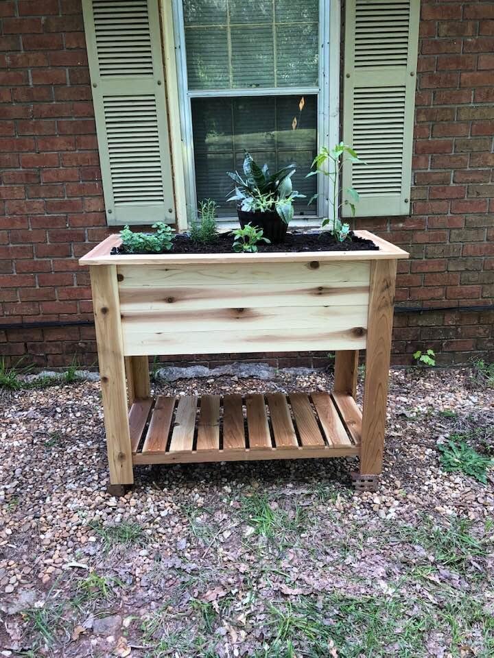 My planter