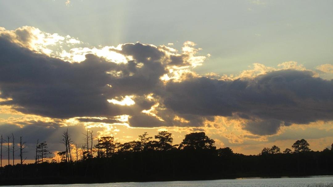 Photographed on September 4, 2017 at The Blackwater National Wildlife Refuge on Maryland's Eastern Shore.