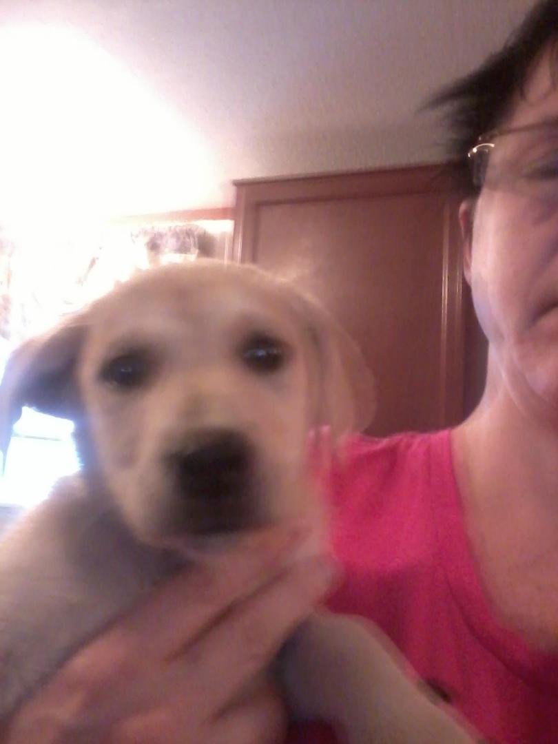 Pup needs a home was dumped n Im at my pet limit