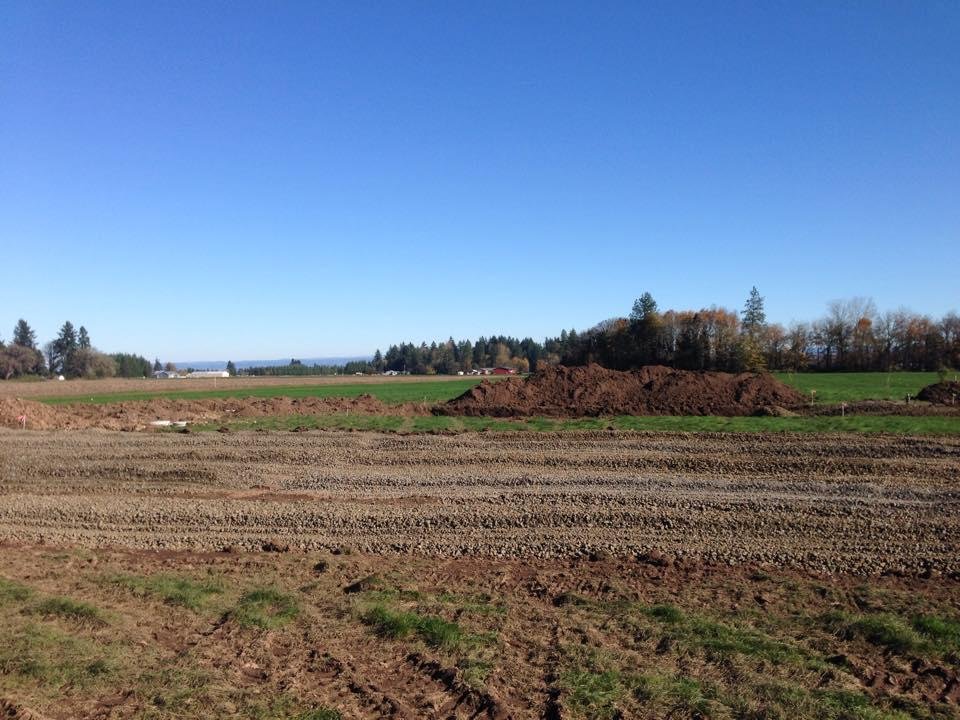 This might not look like much but there is actually quite a bit happening here. On the left you can see the top of septic tank, leach field beyond that. To the right (100'+) you can see the well (80' deep). Up close is the