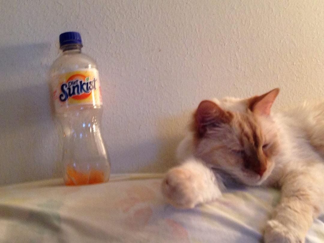 I can't believe I drank the whole thing!!!