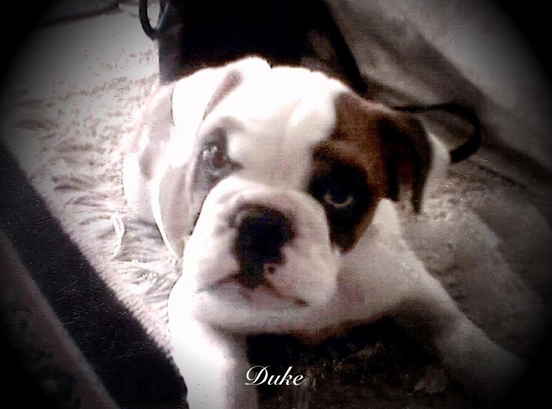 Ramon Rivera's album, Timeline Photos