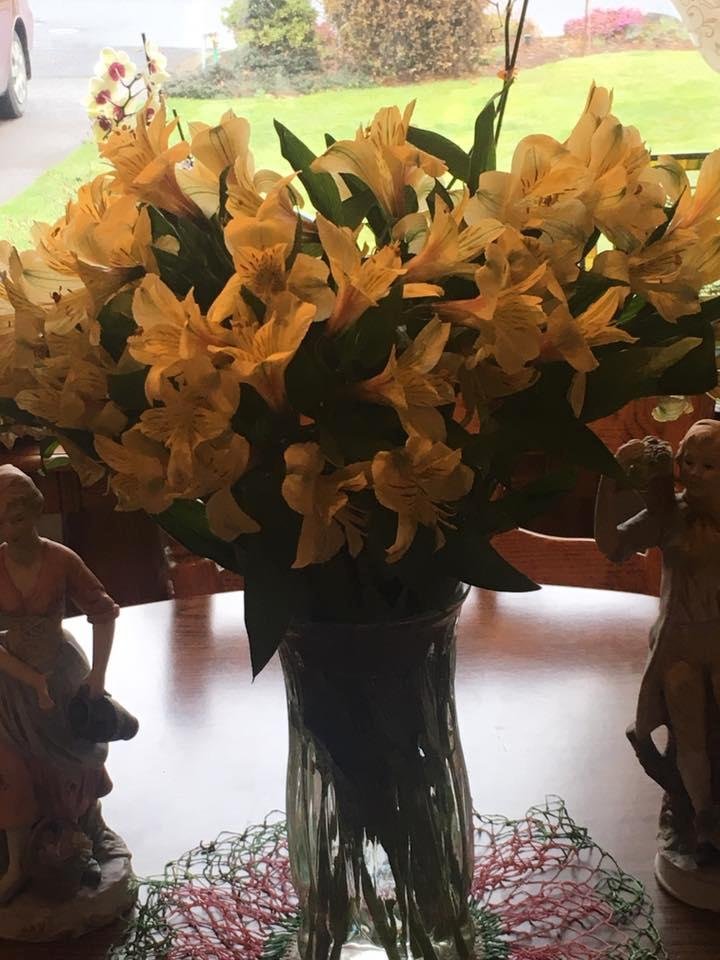 Just because flowers from Derrick this morning. Love this man!!