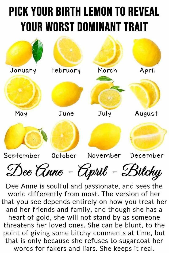 Boy, did they get this one right!!