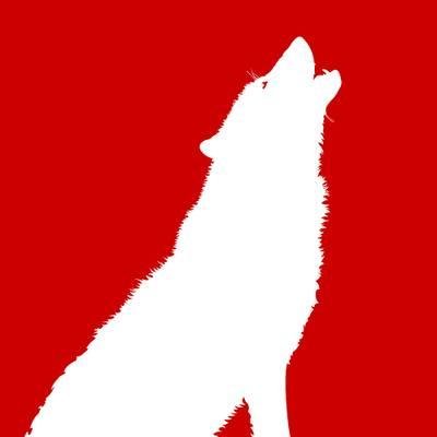 STILL love me some Wolfpack.....GO WOLFPACK!