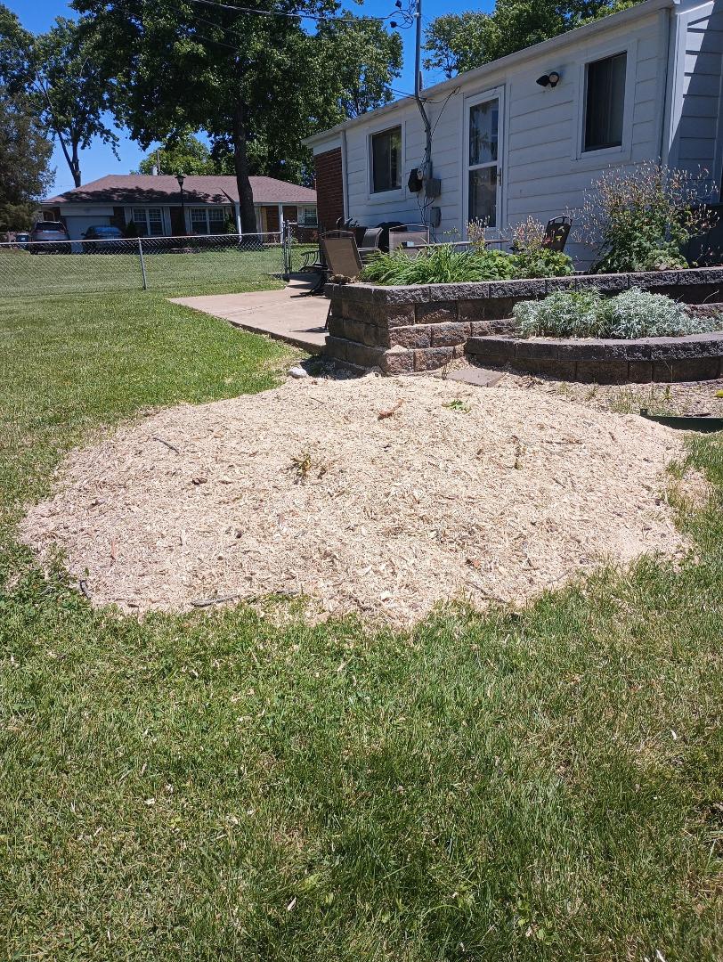 Stump grindings, makes good mulch. FREE. PM for location.