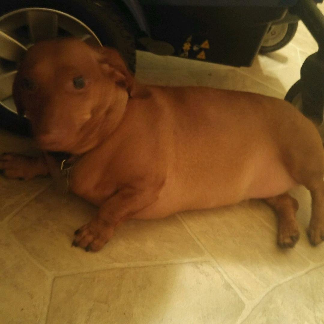 This is my baby Jenny