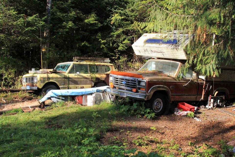 1976 International and 1984 Ford F250 . What a waste. Property slowly getting clean up.