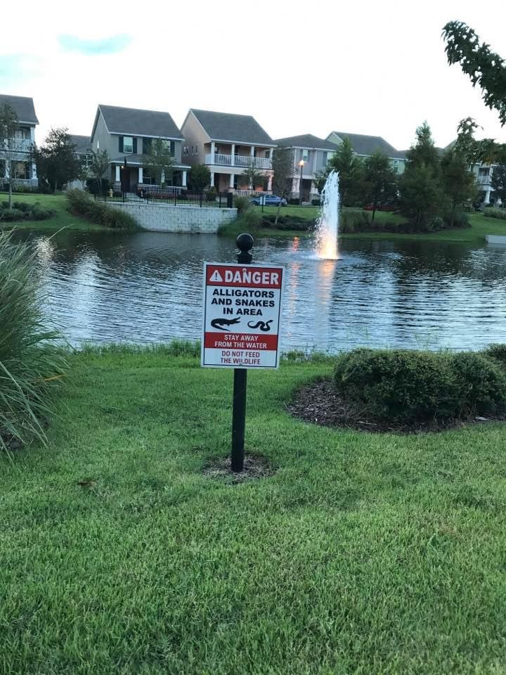 Really?