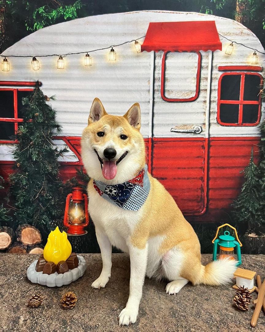 His camp setup is better than mine is.
