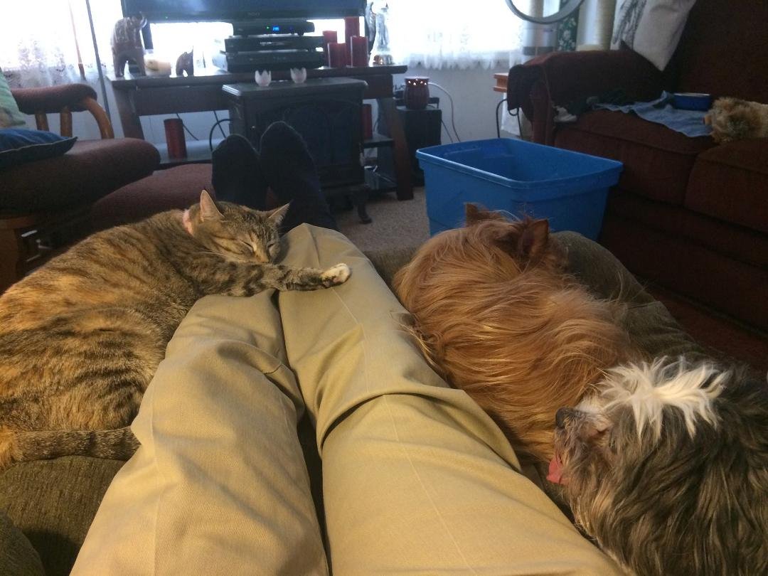 Everyone comfortable?