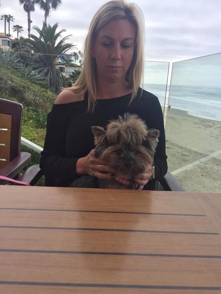 Diane Callen's album, Mobile Uploads