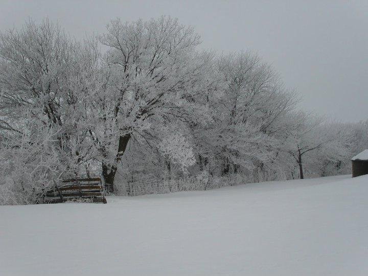 Sammy Wright's album, January 22, 2011