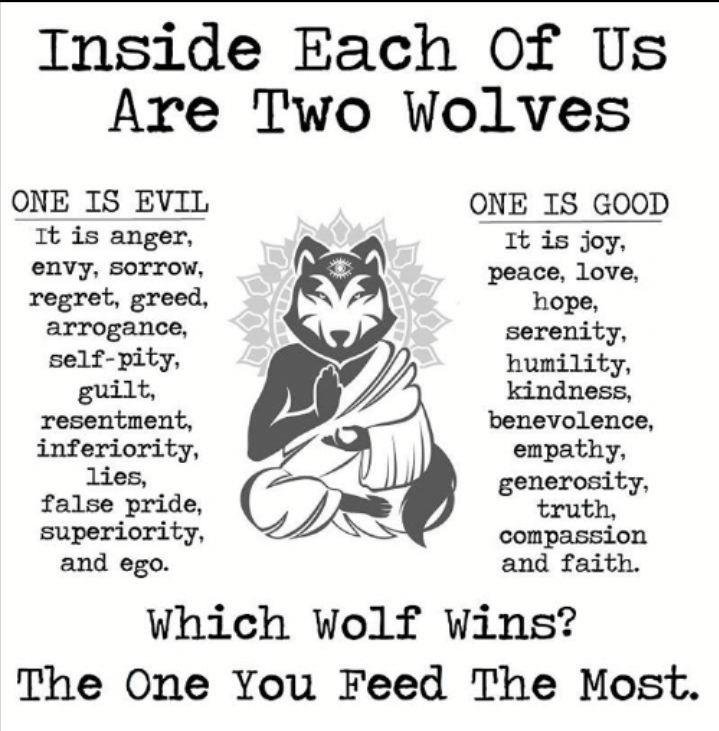 The one you feed is the one you become, we are what we eat. Which one are you? Werewolf or Aware wolf?