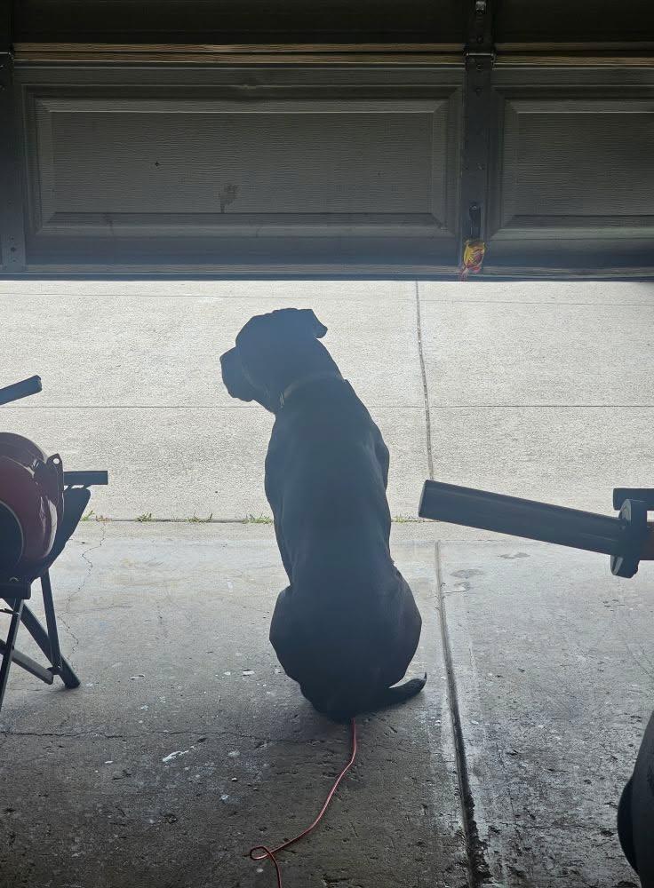 Always on the watch.. best home security system I've ever bought....WATCH EM OLAF