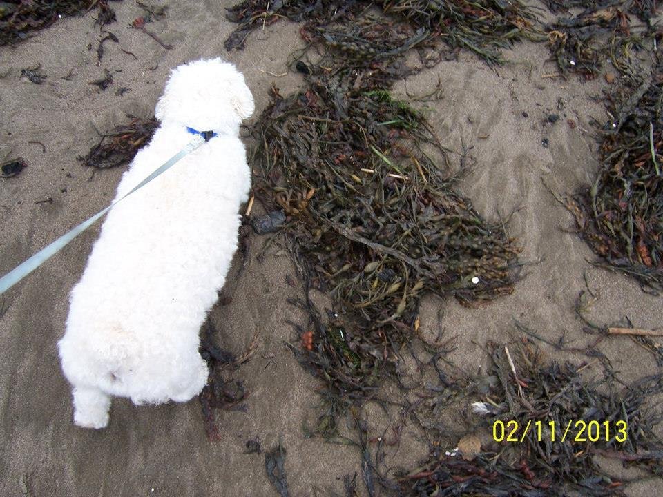 What IS this stuff?