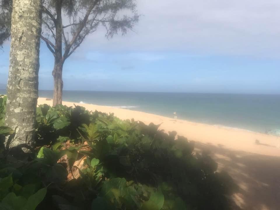 A calm day at Pipeline! I am going in!