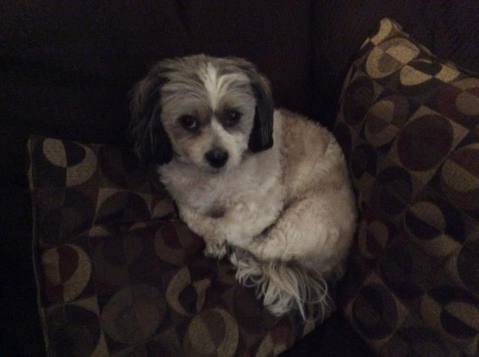 I'm not too cute, Am I?