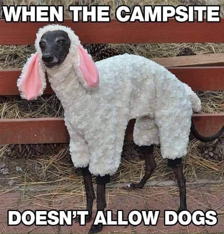 Douglas Simpson's album, Timeline Photos