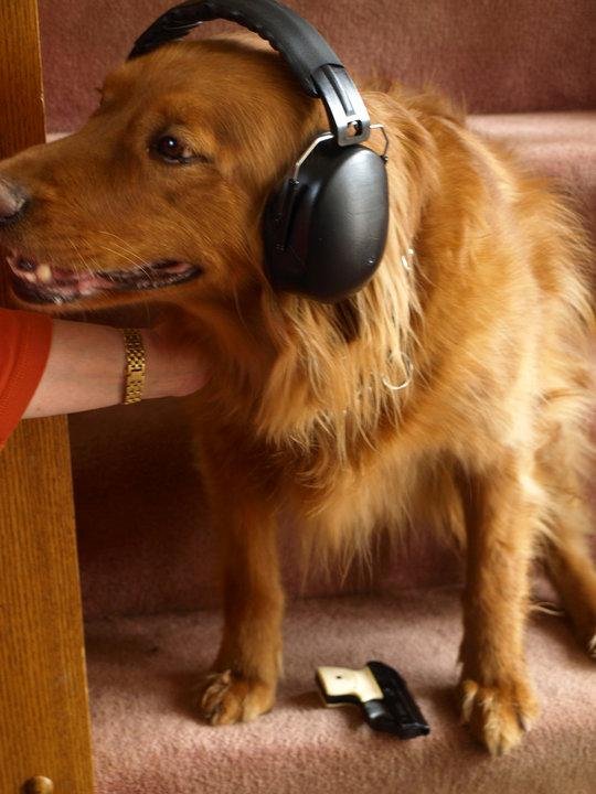 I found a solution for the dog and hunting. Had to protect her from sound and give her the gun. (Sounds like Bonnie!)