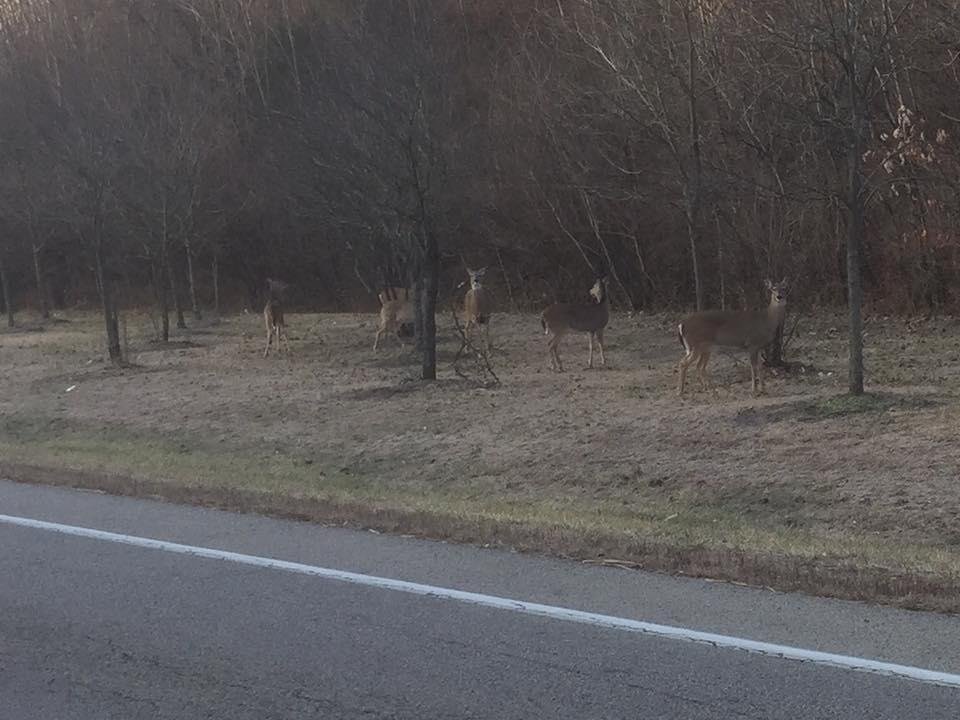 On my way to church this morning along Rt4.