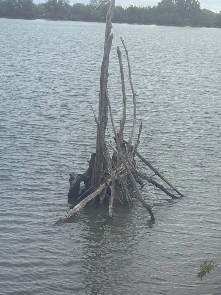 Anyone watch expedition Bigfoot on discovery or Travel ? they show Bigfoot stick things like this all the time in the forest that they make. Well, I guess the Sasquatch came to Weight Ridge Colorado last night because this
