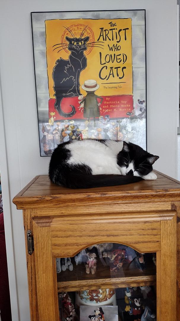 Pekah-Boo's new favorite place to sleep.