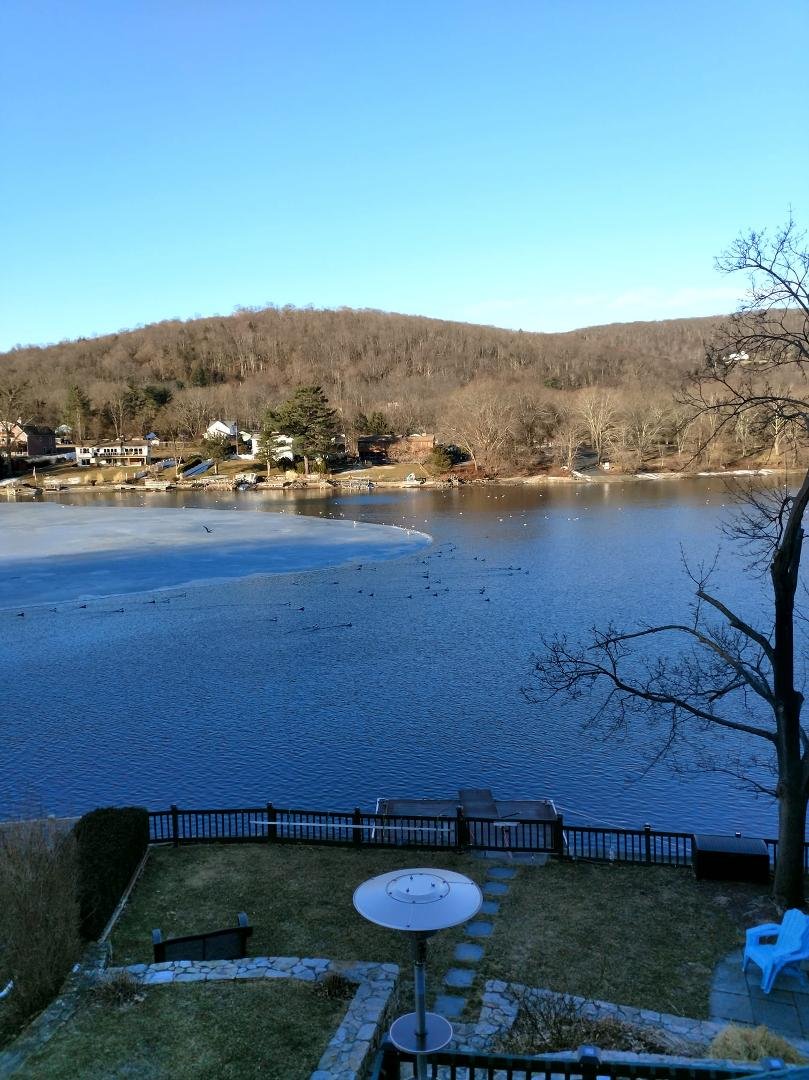 Plenty of ducks on Candlewood Lake this morning.